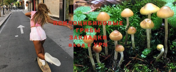 прущие крисы Армянск